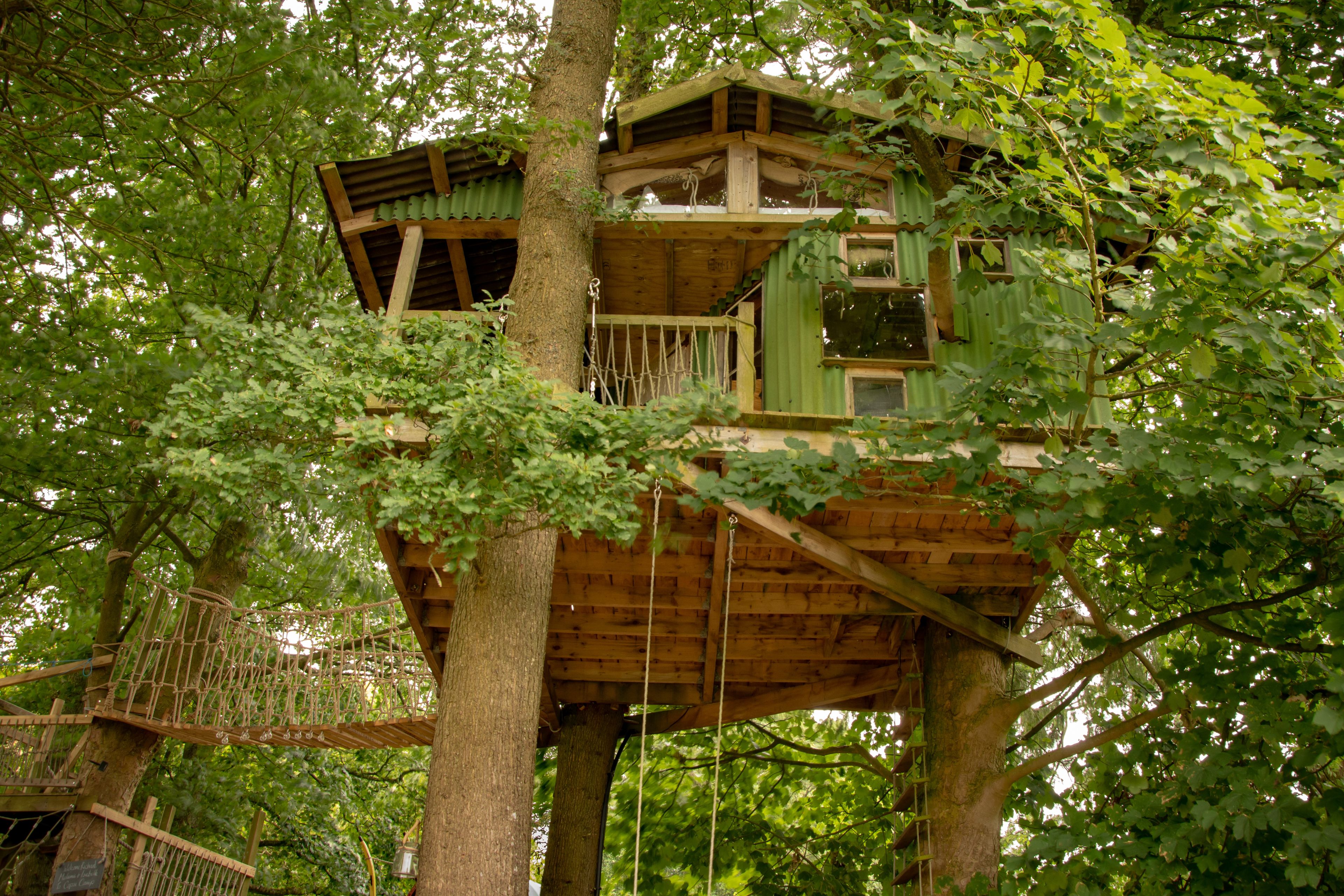 Exclusive Tree House | Exterior