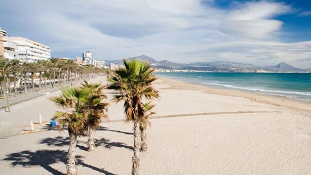 A beach with palm trees, a clear sky, and a distant mountain range. - Hostal Bahía Blanca (Alicante)