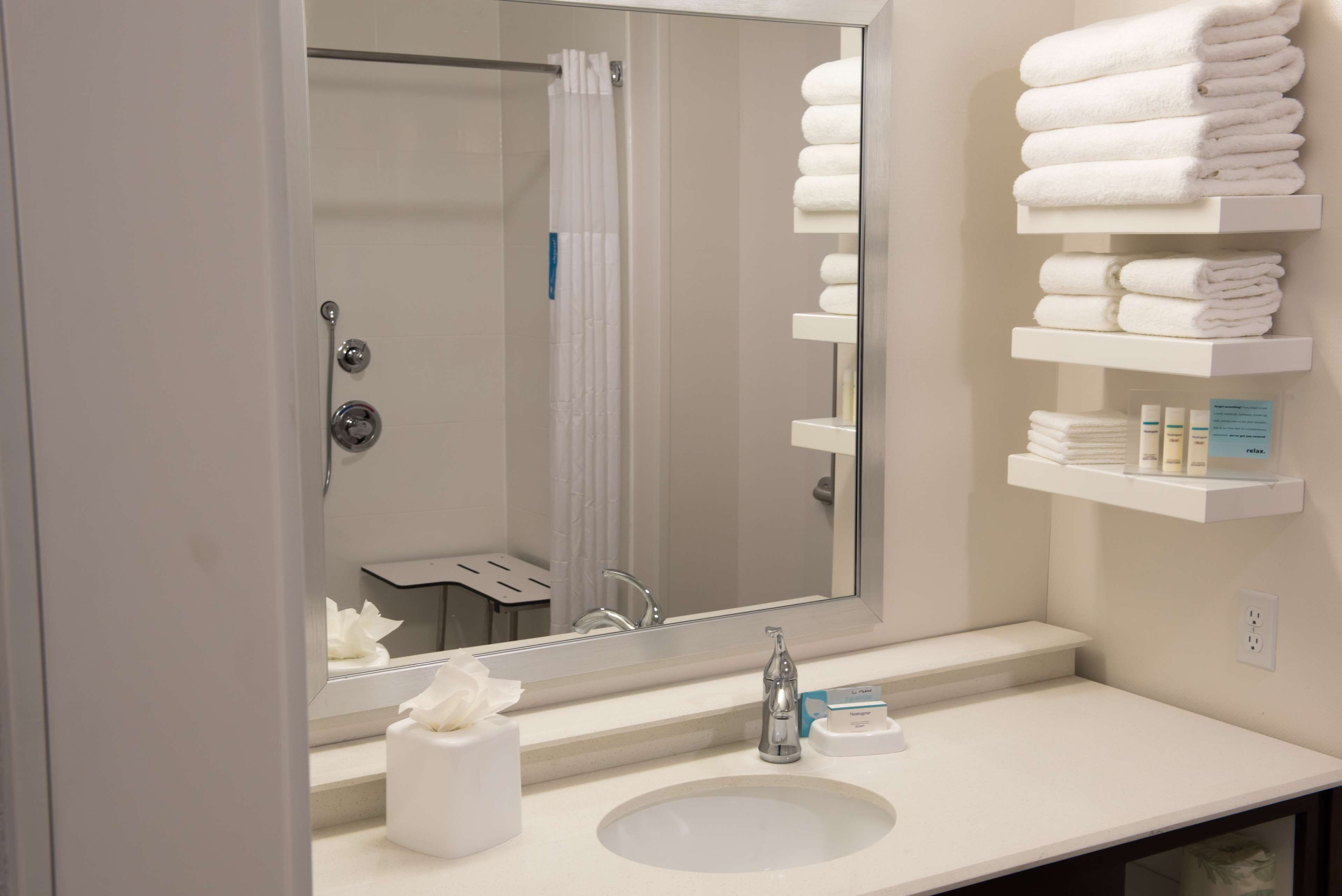 room, 1 king bed, accessible, non smoking (w/ roll-in shower) | bathroom shower