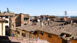 Een uitzicht op een historische stad met terracottadakpannen en traditionele architectuur.