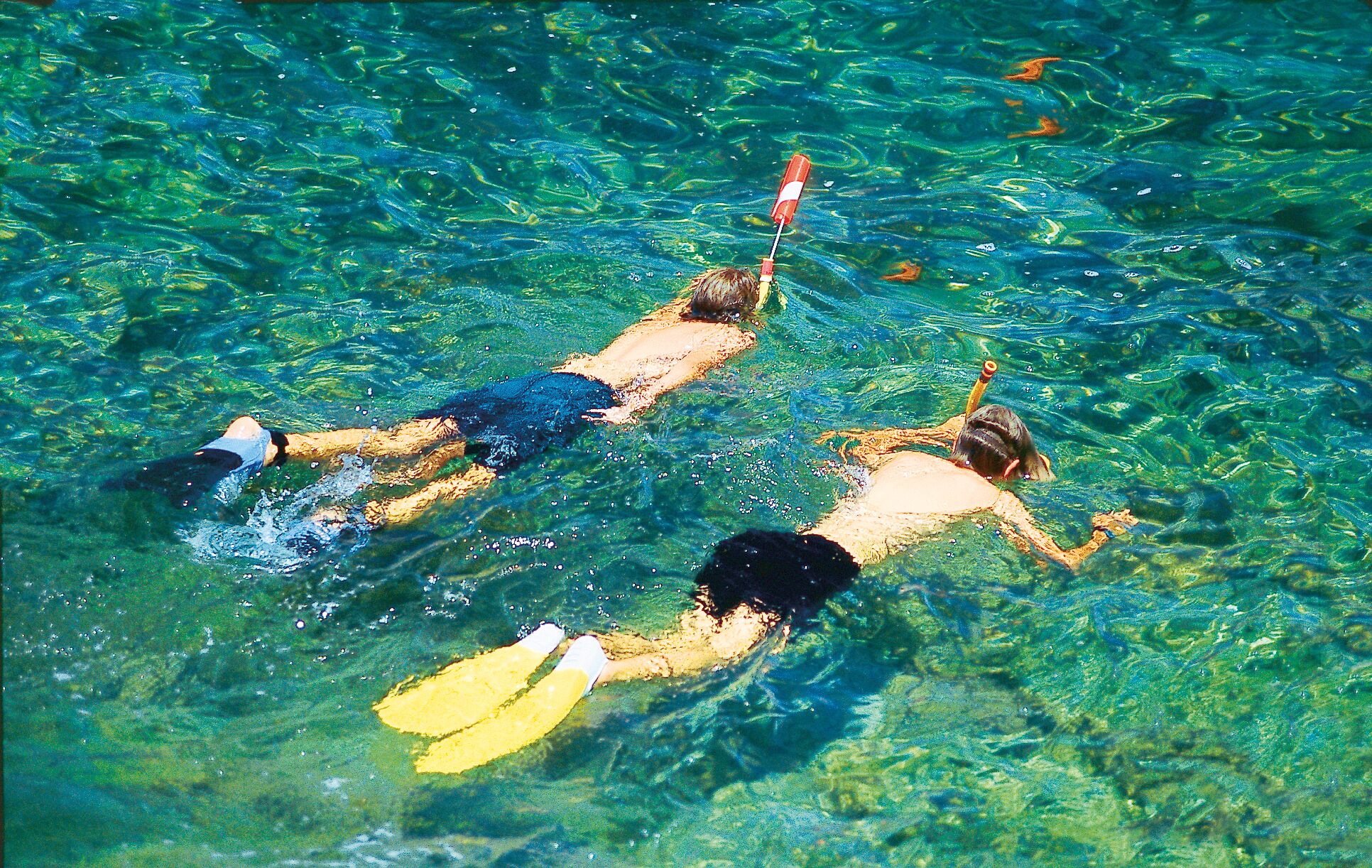 Trois personnes font de la plongée avec tuba dans une eau cristalline.