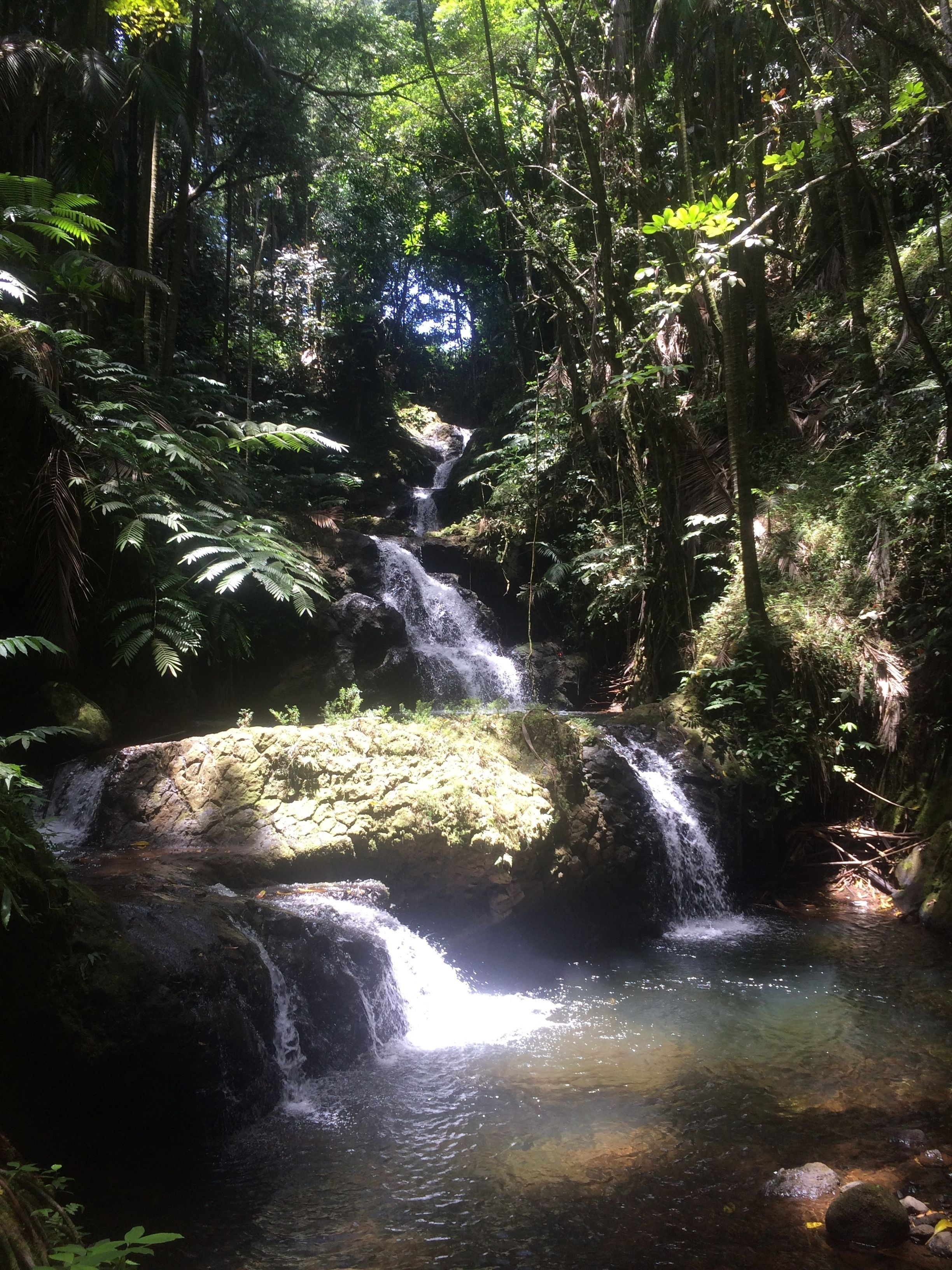 Une cascade d’eau se déversant sur des rochers dans une zone boisée, où le feuillage est dense.