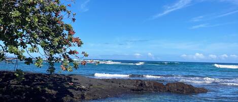 A clear view of a rocky shoreline with calm ocean waves, a tree with green leaves, and a clear blue sky.