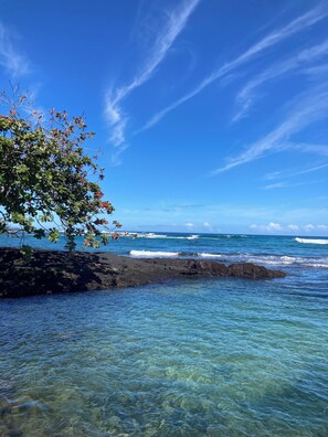 A clear view of a rocky shoreline with calm ocean waves, a tree with green leaves, and a clear blue sky. - Hilo Bay Oceanfront B&B (Hilo)