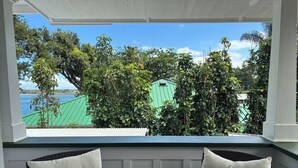 A covered outdoor seating area with wicker furniture and cushions, overlooking a lush garden and a green building by the water. - Hilo Bay Oceanfront B&B (Hilo)