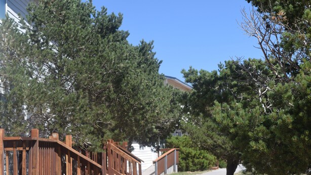 View from property - Mactavish Court Townhomes (Rawlins)