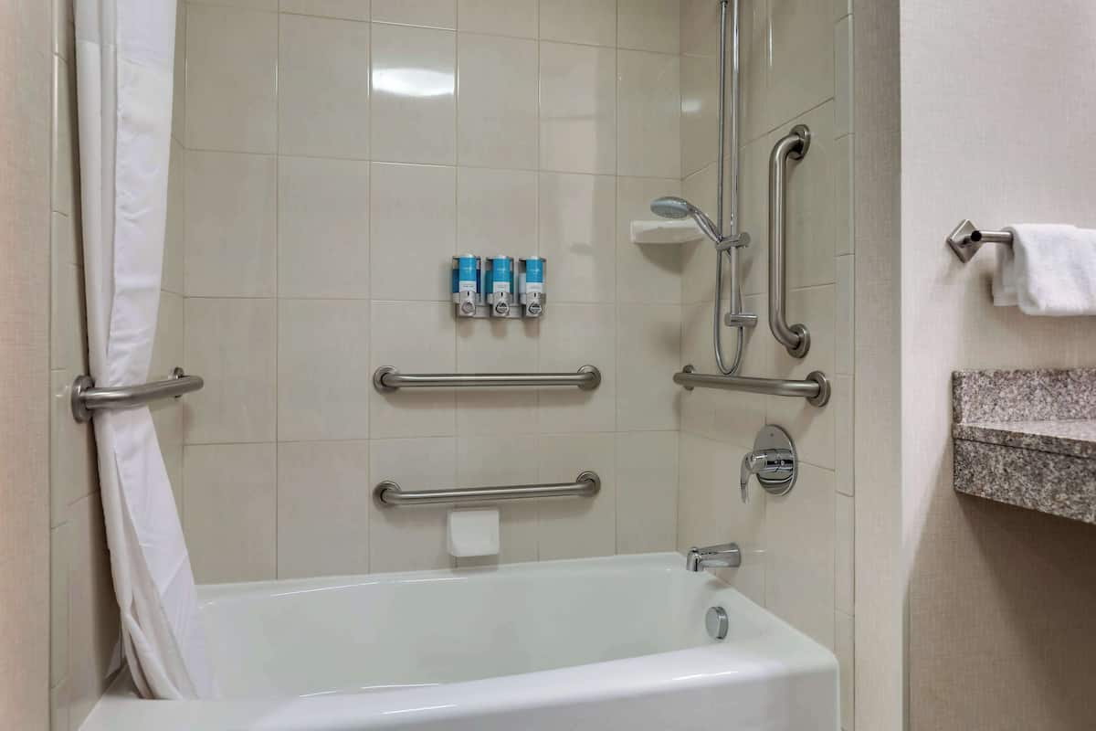 combined shower/bathtub, free toiletries, hair dryer, towels