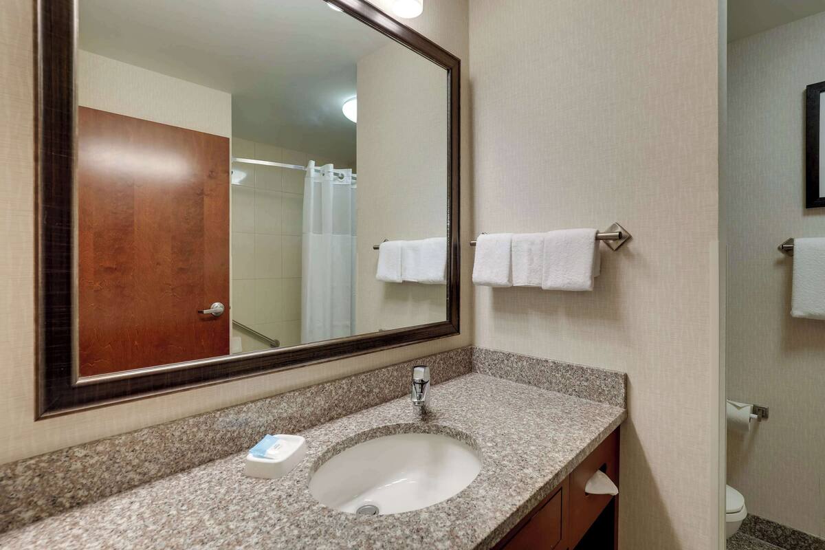 combined shower/bathtub, free toiletries, hair dryer, towels