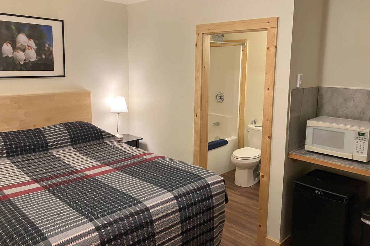 Ein Hotelzimmer mit Bett, Nachttisch, Lampe, Dusche, Toilette, Mikrowelle und Mülleimer.