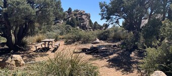 Shep's Miners Inn