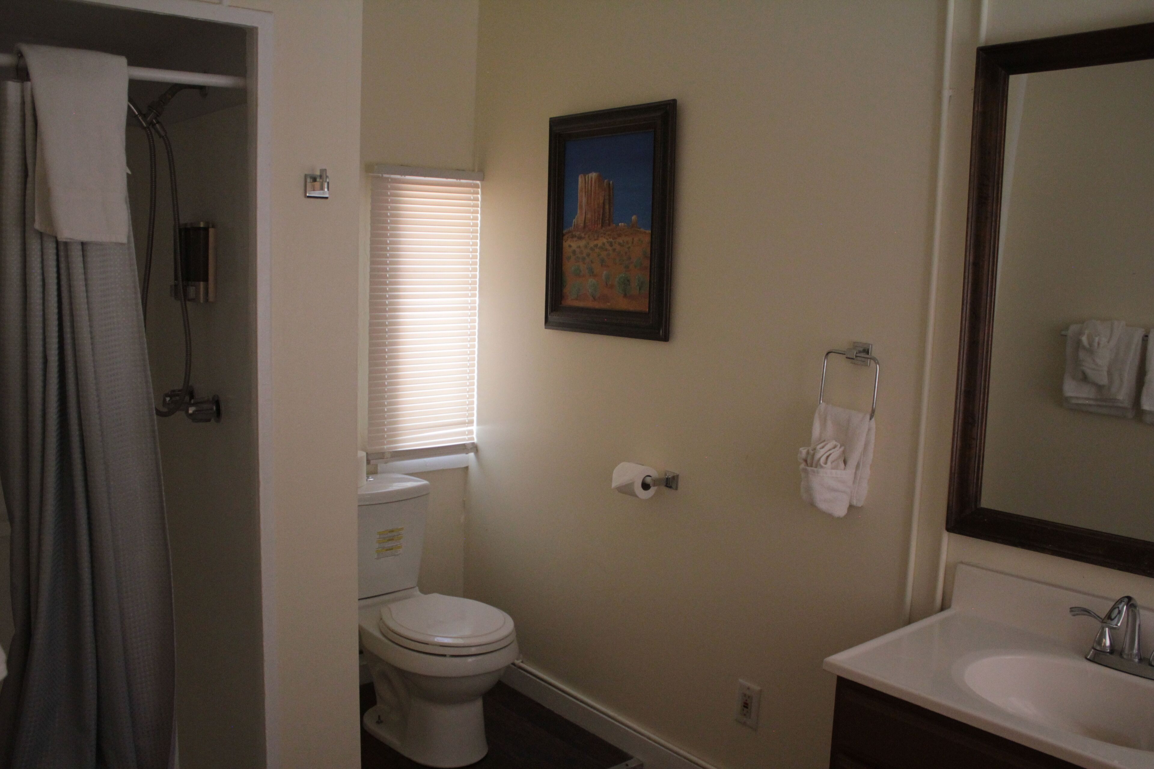 comfort single room, 1 queen bed, refrigerator & microwave, courtyard view | bathroom | hydromassage showerhead, free toiletries, towels, soap