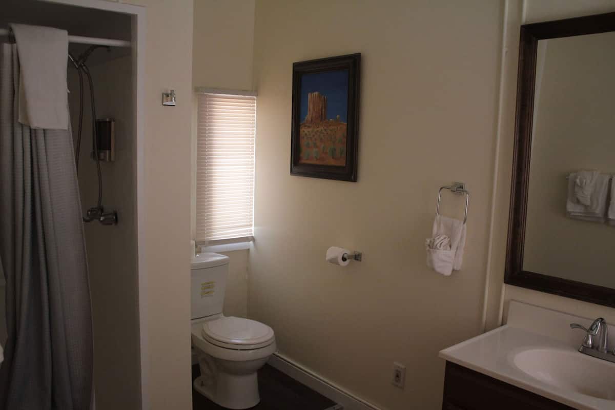 comfort single room, 1 queen bed, refrigerator & microwave, courtyard view | bathroom | hydromassage showerhead, free toiletries, towels, soap