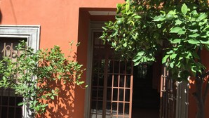 Une cour avec un pot de fleurs, une porte dotée d’une fenêtre et un arbre projetant son ombre sur le mur.