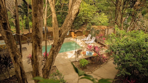 Zona de piscina con sillones reclinables y una mesa, rodeada de árboles y plantas.