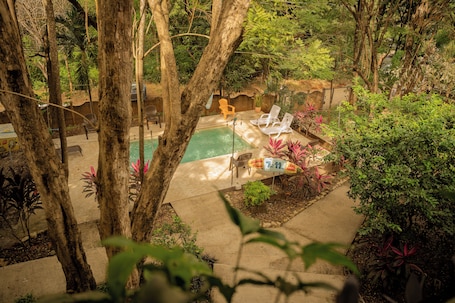 Outdoor pool, open 8:00 AM to 10:00 PM, sun loungers