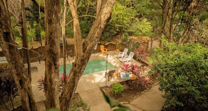 Casa Pura Vida Surf Hostel