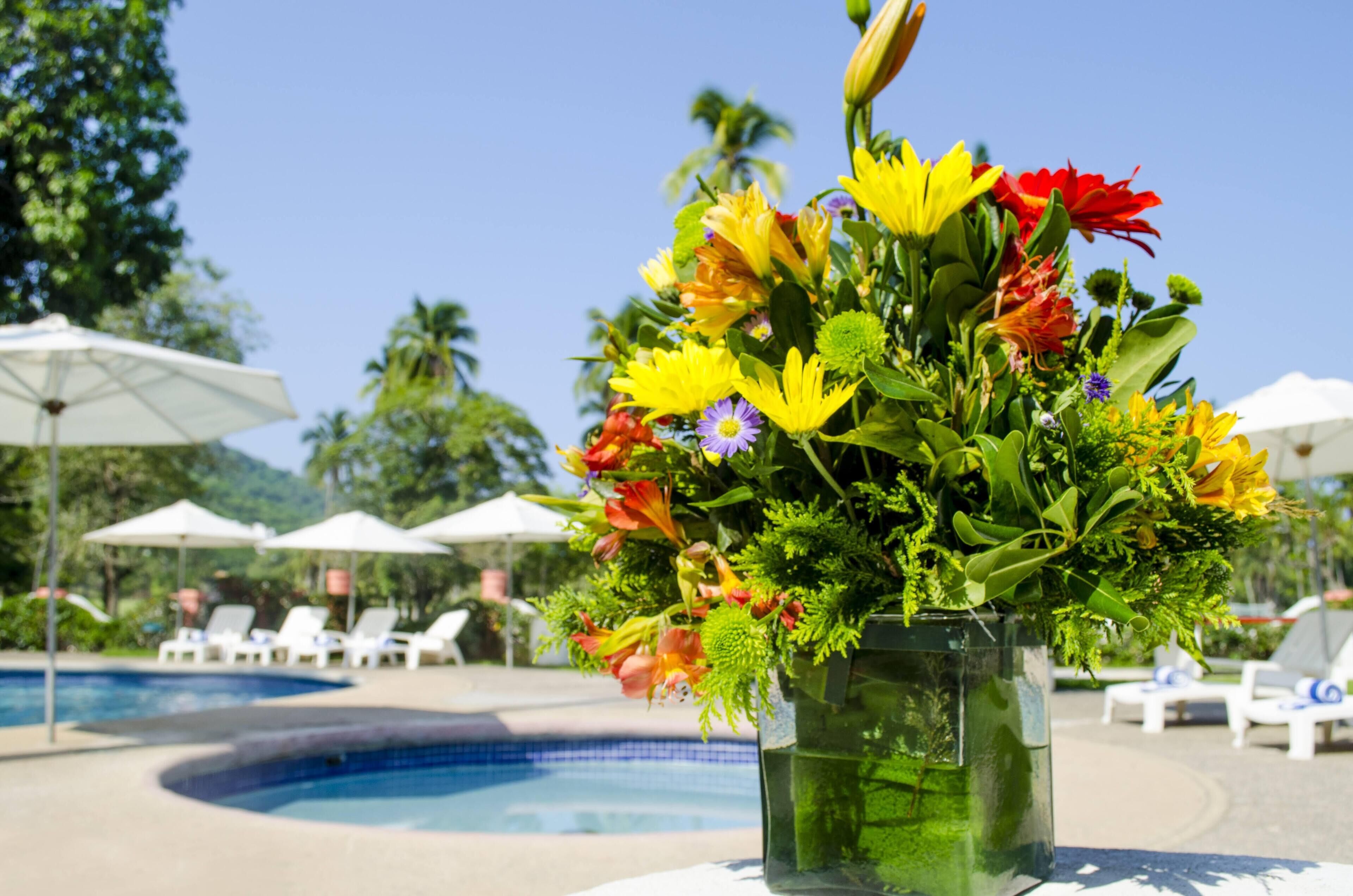 outdoor pool, open 8:00 am to 8:00 pm, pool umbrellas, pool loungers