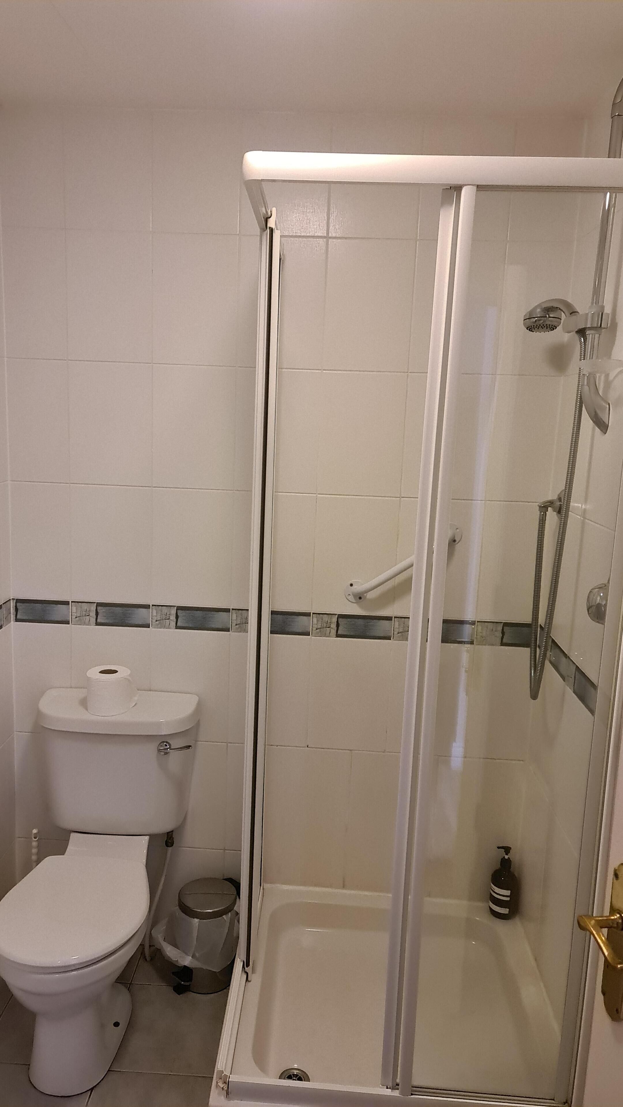 A bathroom with a toilet, a shower enclosure, and a trash bin.