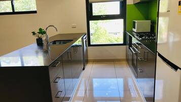 A modern kitchen with a large window, stainless steel appliances, and a potted plant.