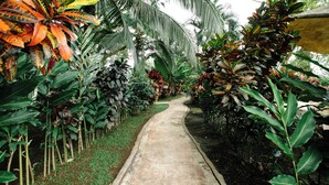 A concrete pathway flanked by lush tropical plants and palm trees, leading through a garden area. - Hotel Las Orquideas (La Fortuna)