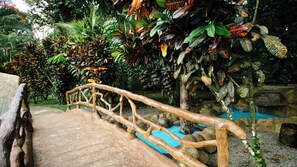 A wooden bridge with a handrail, surrounded by dense tropical foliage and a small water feature.