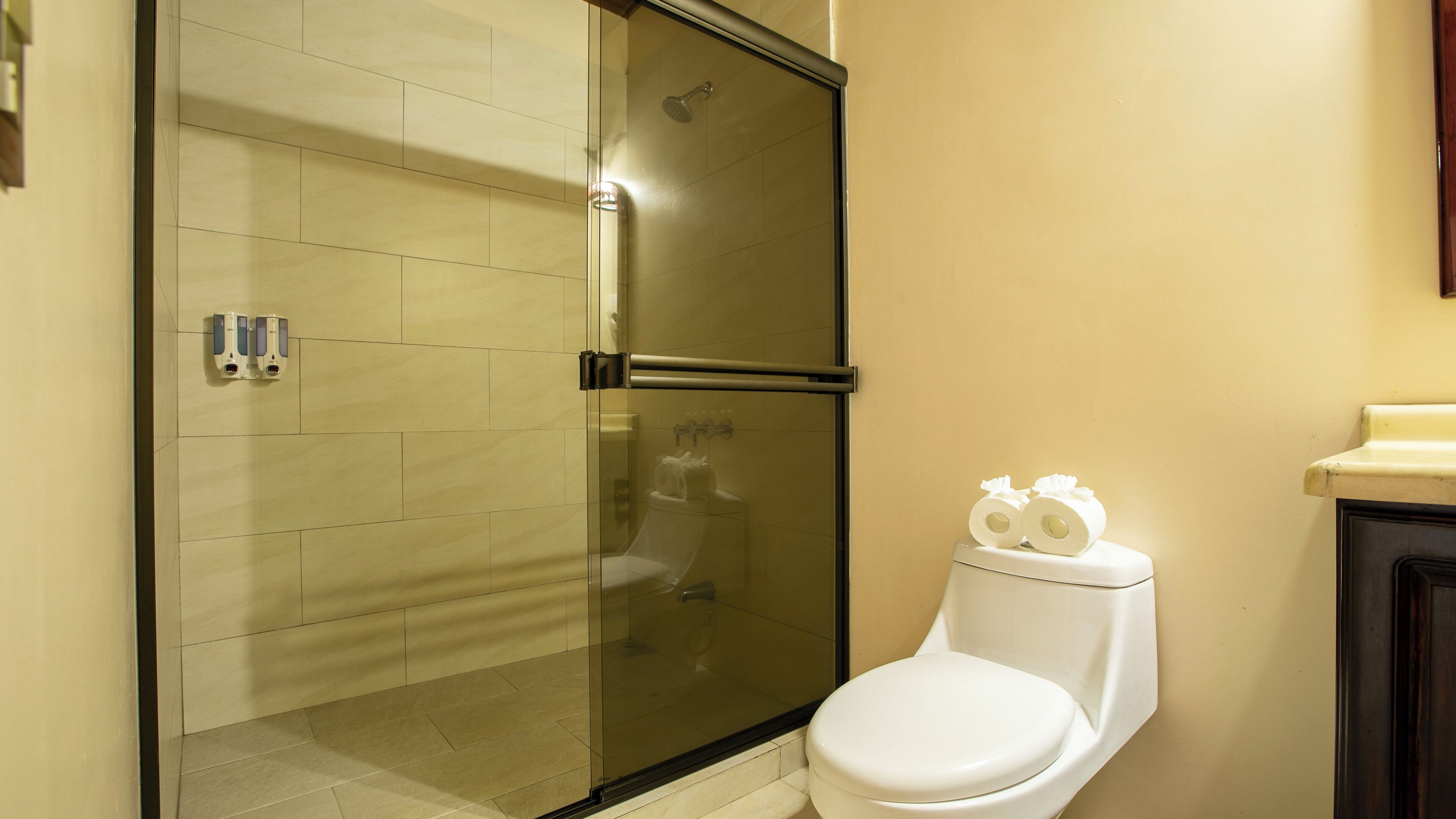 Un baño con ducha de mampara de vidrio, inodoro y secador de manos.