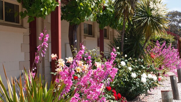 A garden with various flowers and plants, a building with red columns, and a palm tree. - Inglewood Motel and Caravan Park (Inglewood)