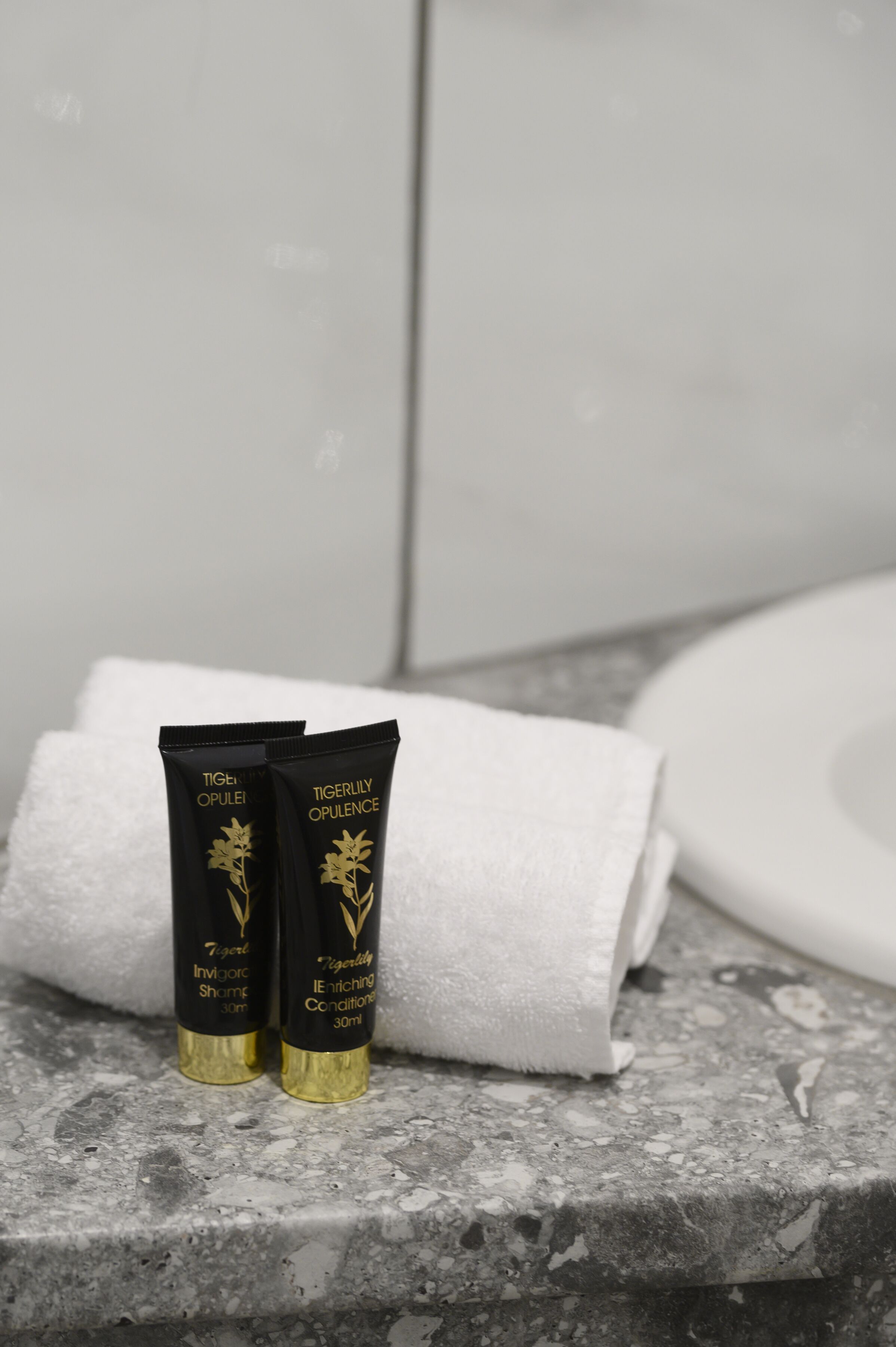 Suihku, ilmaiset hygieniatuotteet, hiustenkuivaaja, pyyhkeet