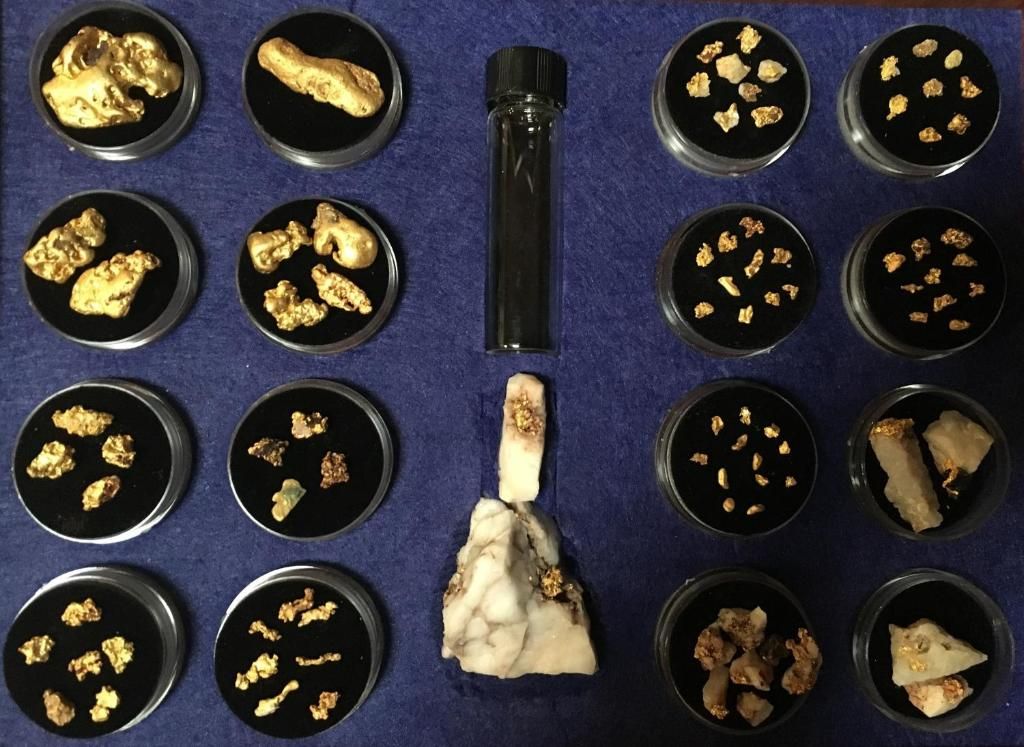 A collection of mineral samples in petri dishes, arranged on a blue surface.