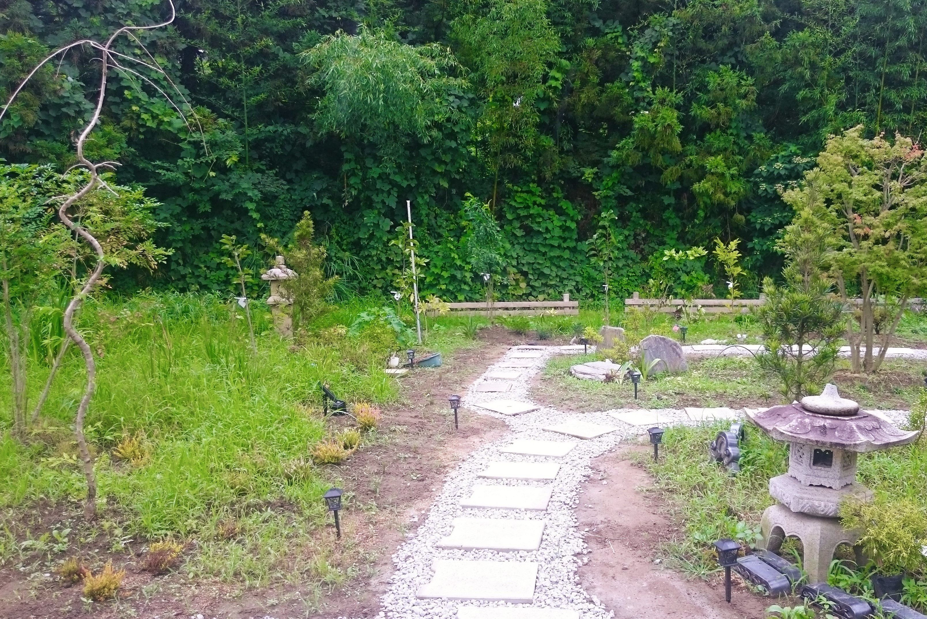 Un sendero de jardín con piedras para pisar, rodeado de abundante vegetación y faroles de piedra.