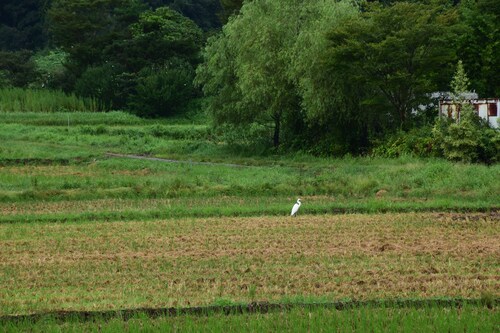 施設からの眺望