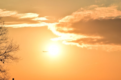 施設からの眺望