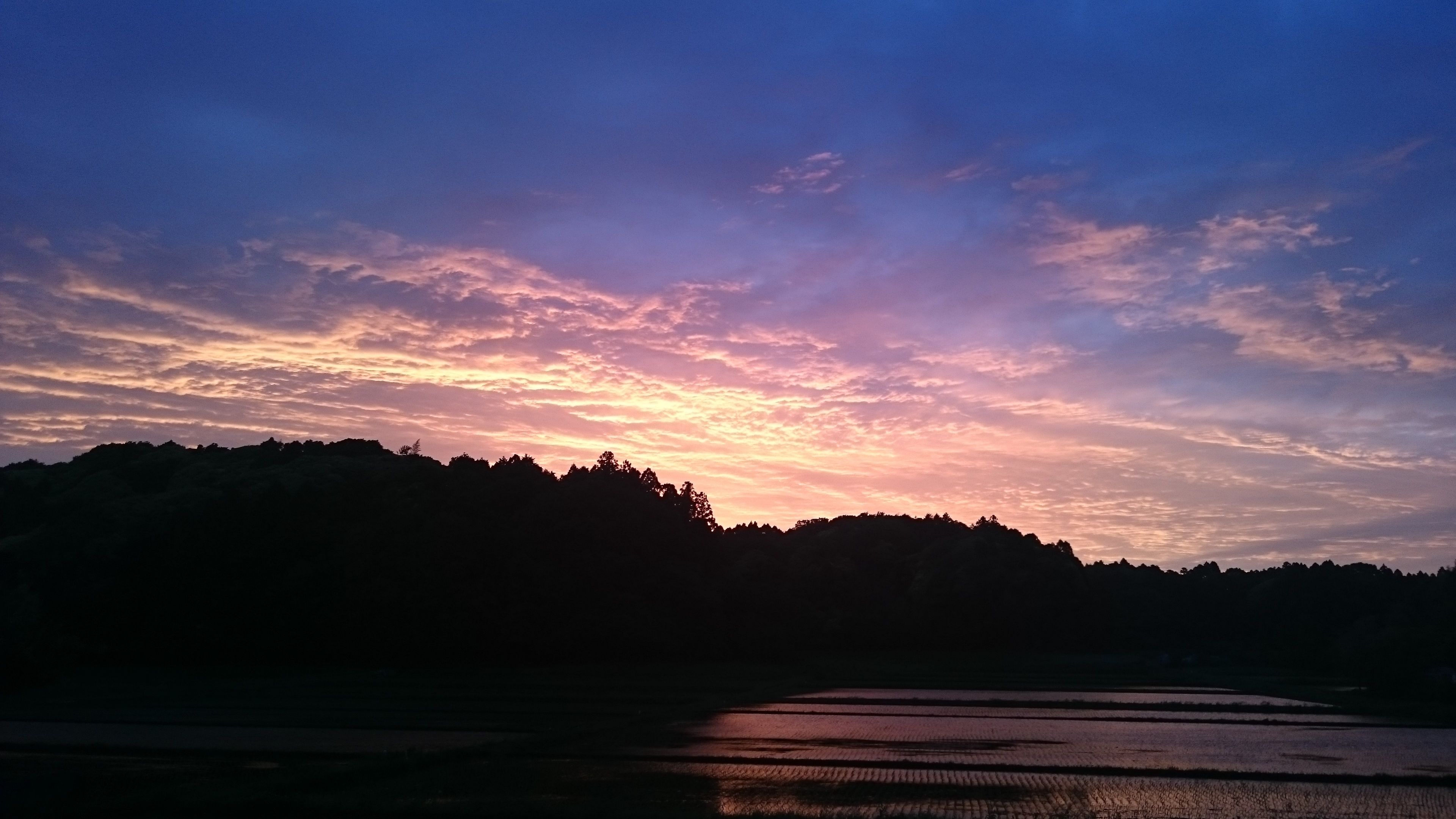 Pemandangan dari properti