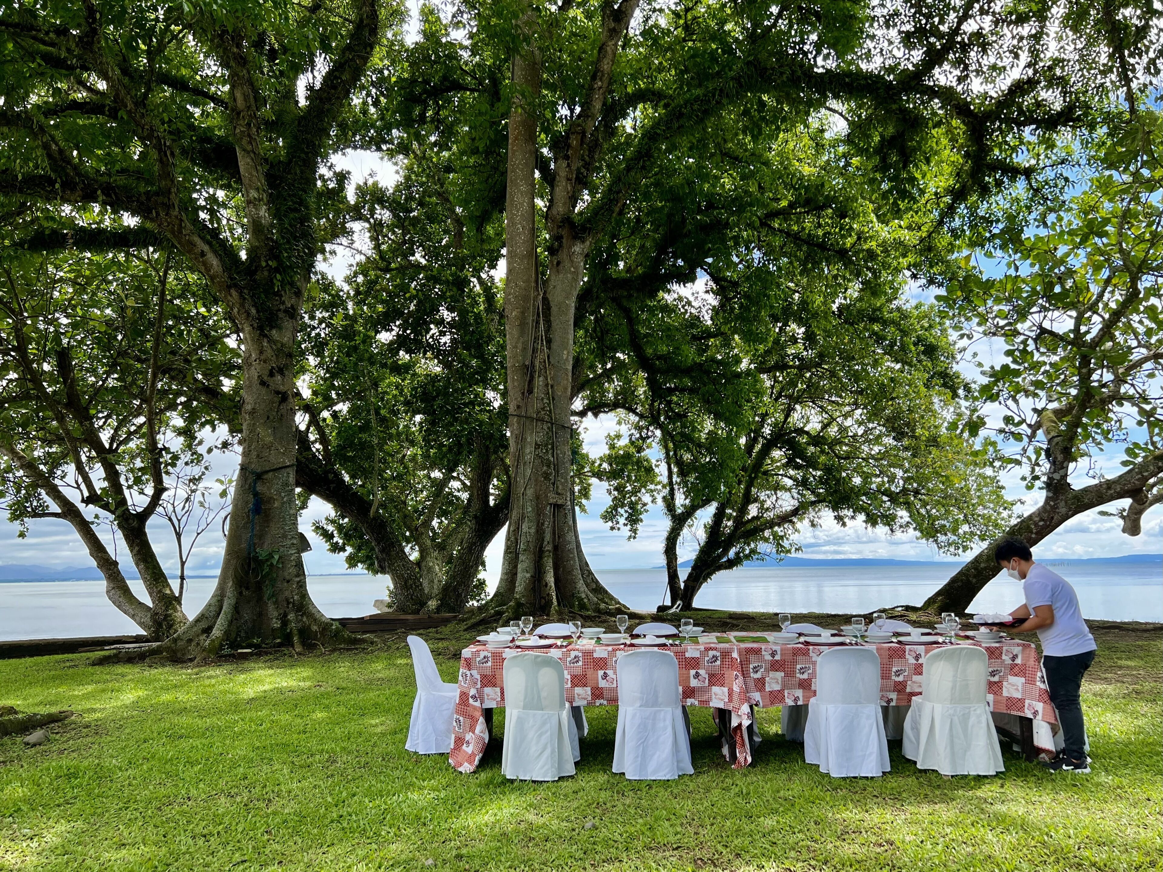 plantation house (half house) | view from room