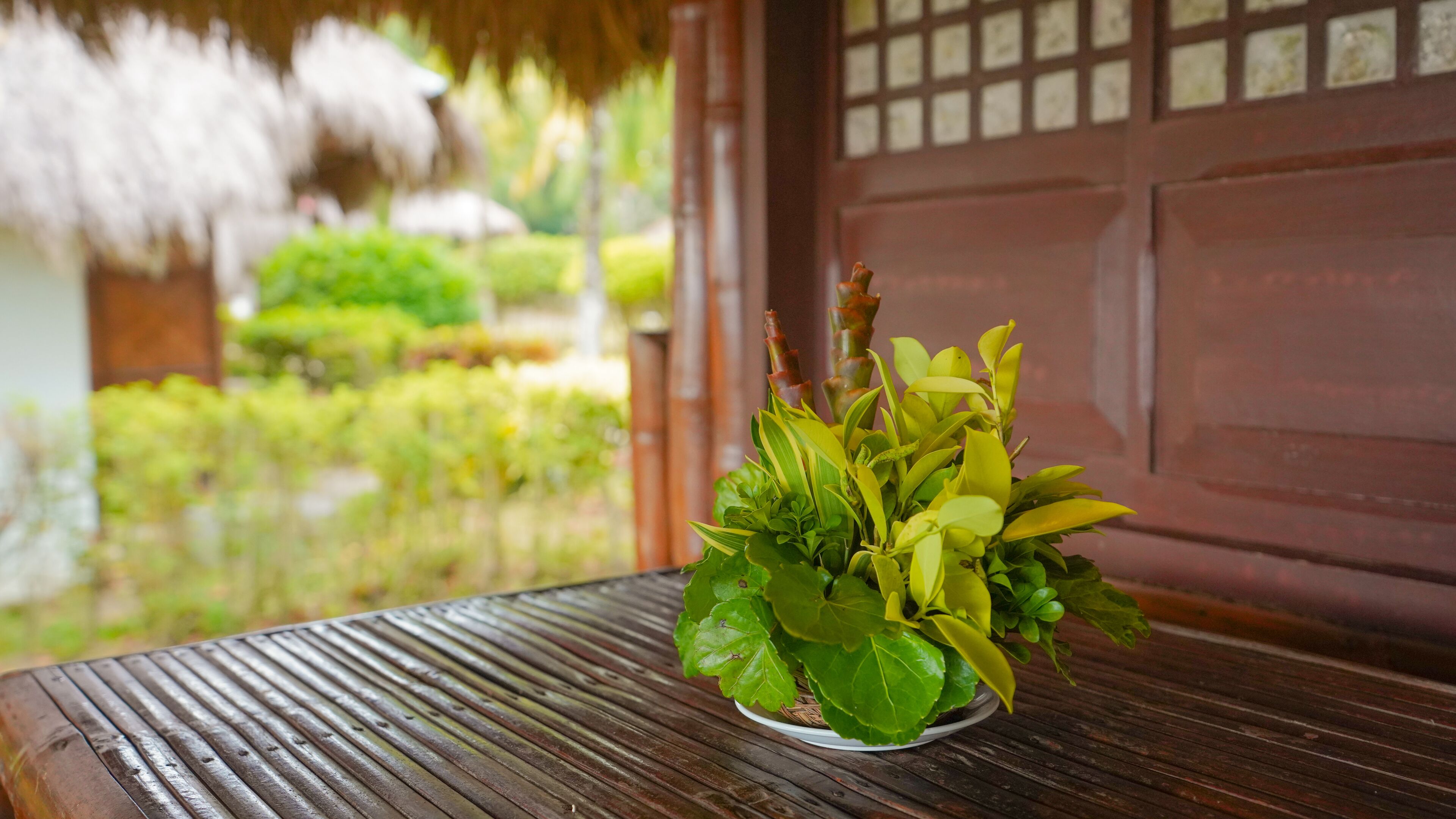 A potted plant on a wooden table with a view of a garden and a wooden door in the background.