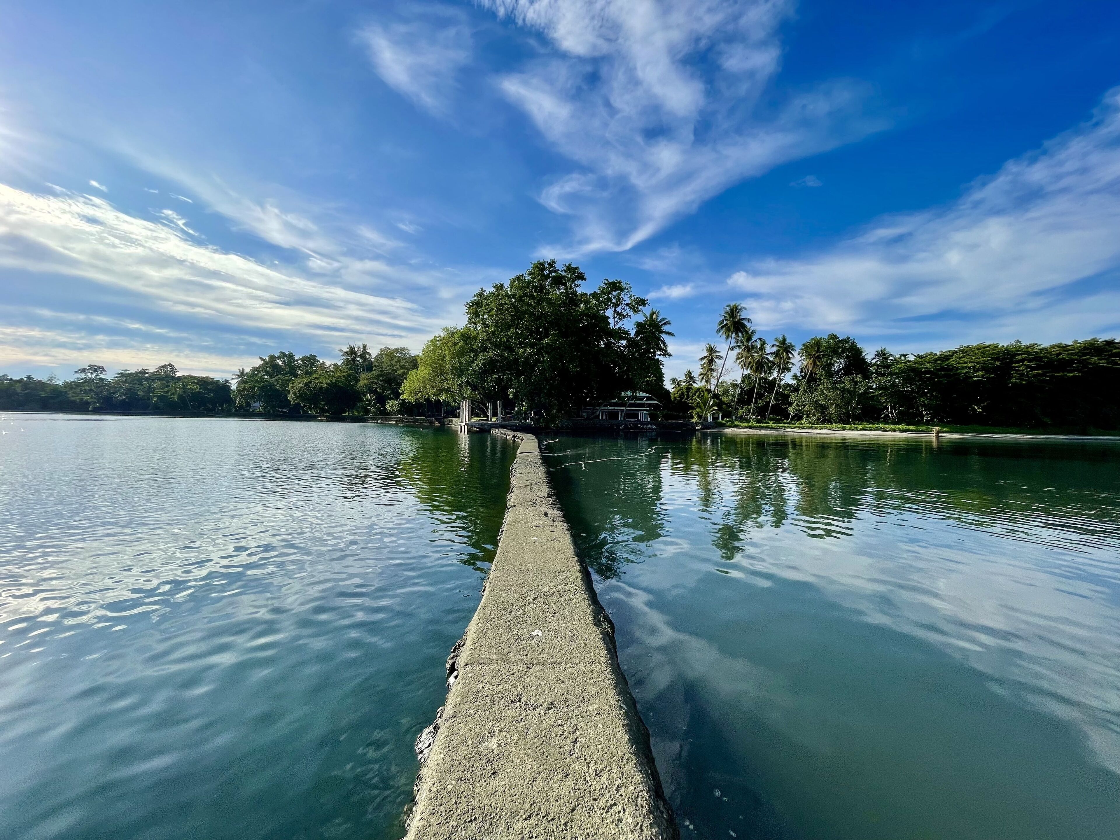 plantation house (half house) | view from room