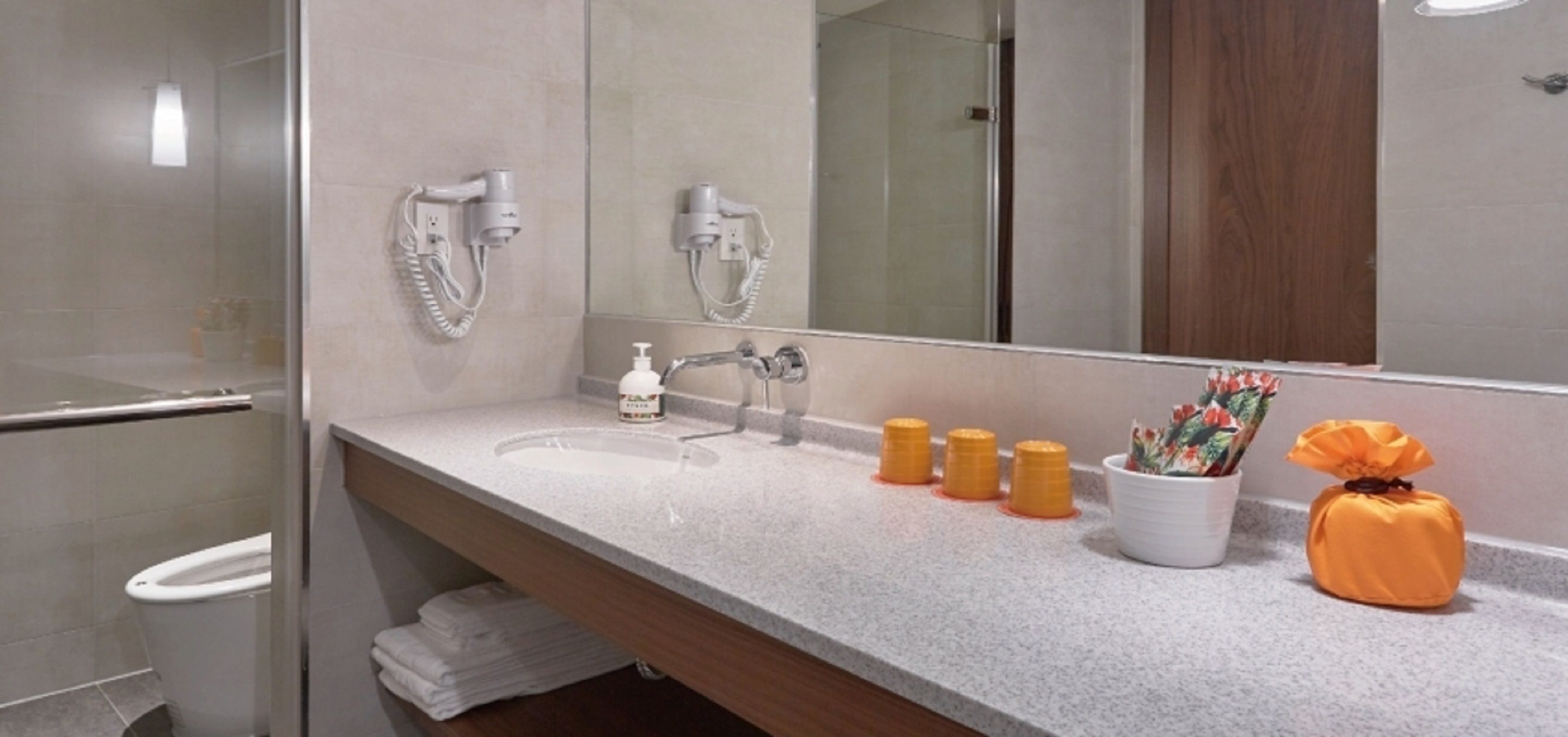 triple room (japanese) | bathroom sink