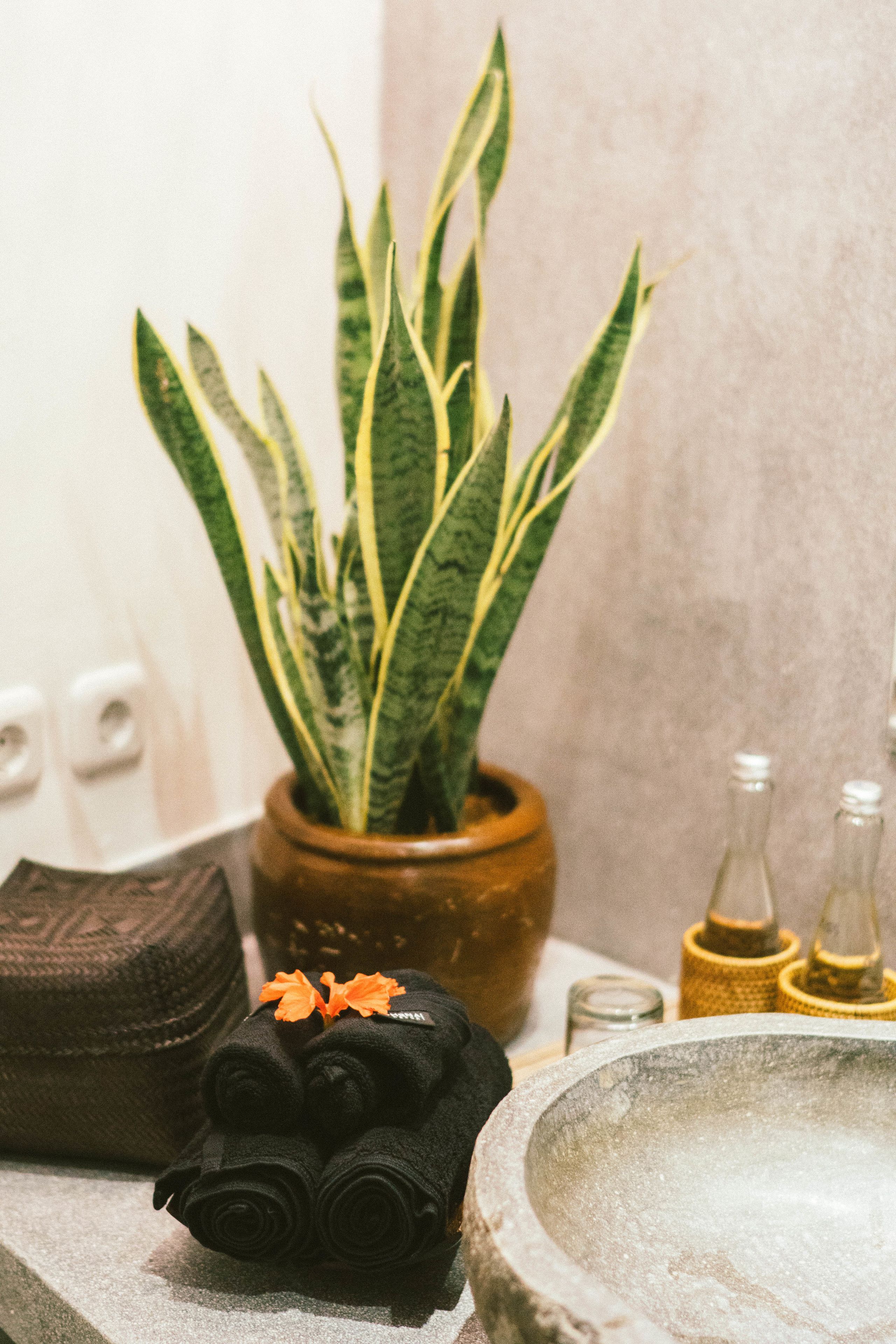 tropical deluxe garden view | bathroom | separate bathtub and shower, free toiletries, bathrobes, towels