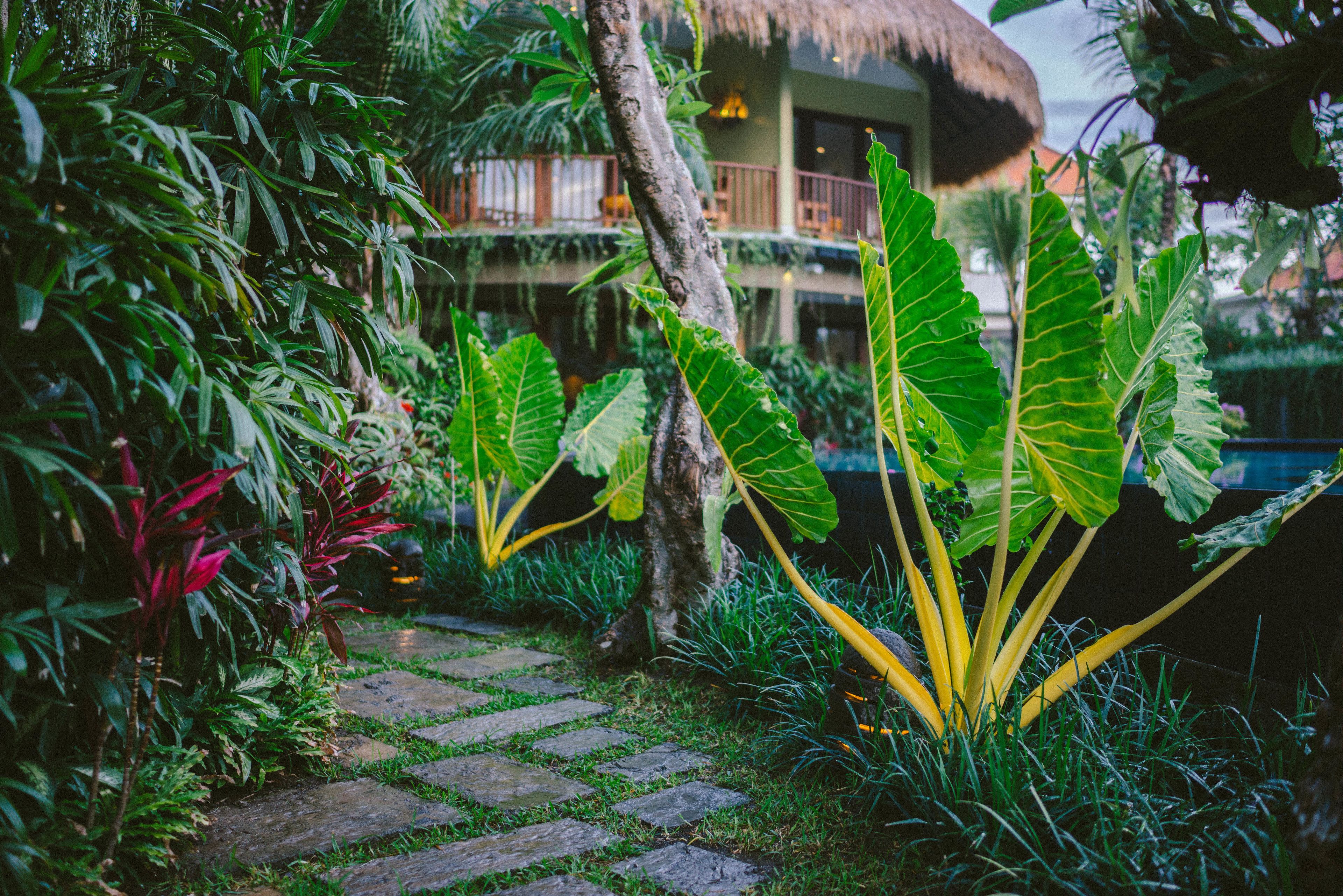 Photo - Honai Resort