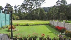 Un jardin bien entretenu, avec une pelouse, des plantes en pot et un mur de pierres.