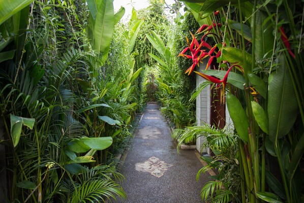 Un sendero estrecho rodeado de abundante follaje y plantas tropicales.