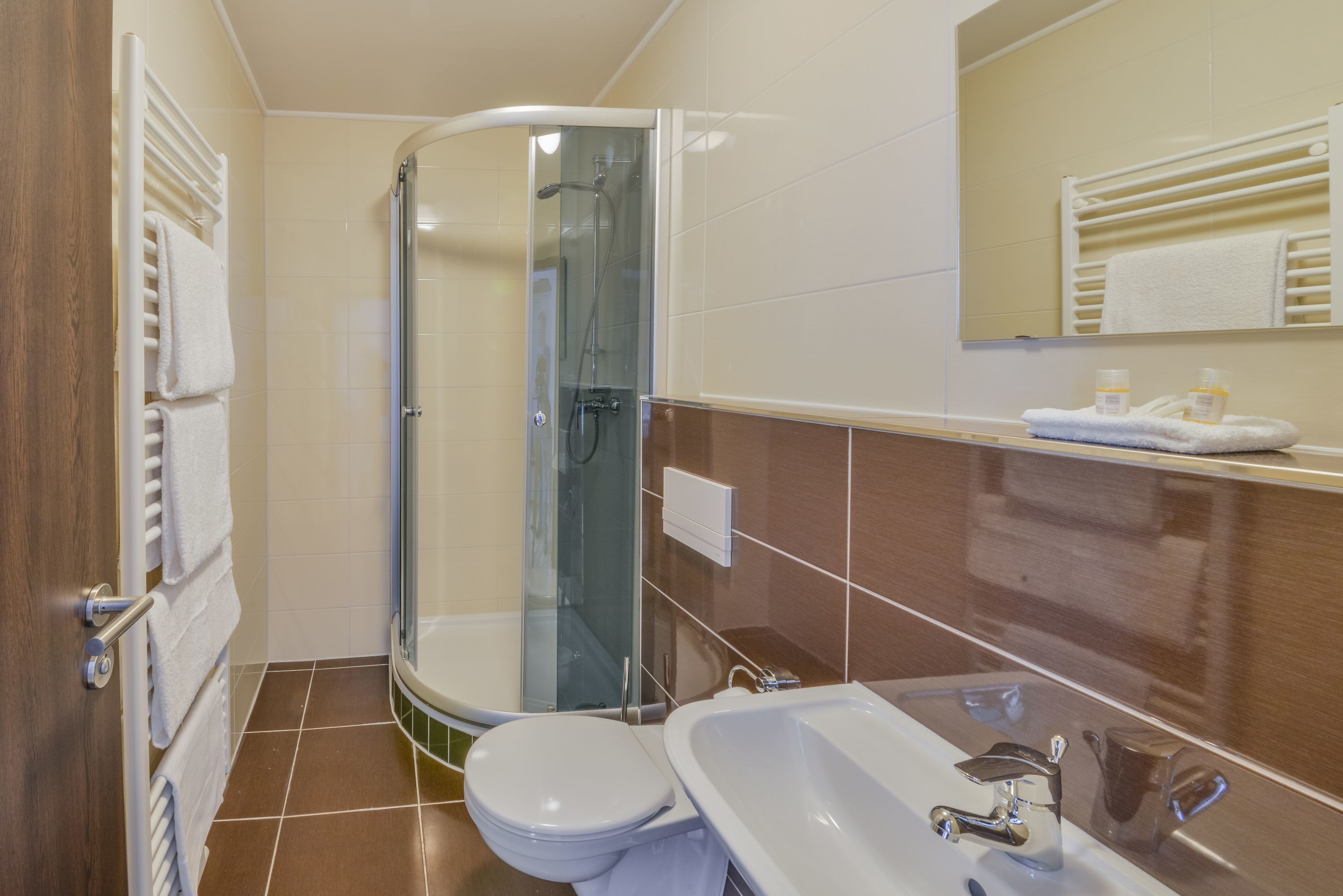 shower, free toiletries, hair dryer, towels