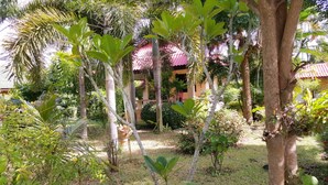 A lush garden with various tropical plants and a building with a red roof in the background. - Happy Resort (Khanom)