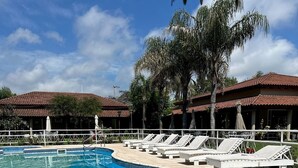 Una piscina azul cristalina con sillas de descanso y palmeras.