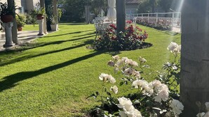 Un jardín bien cuidado con una pérgola, sillas blancas y una mesa, rodeado de abundante vegetación y plantas en flor.