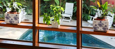 A window with three potted plants on a wooden ledge.