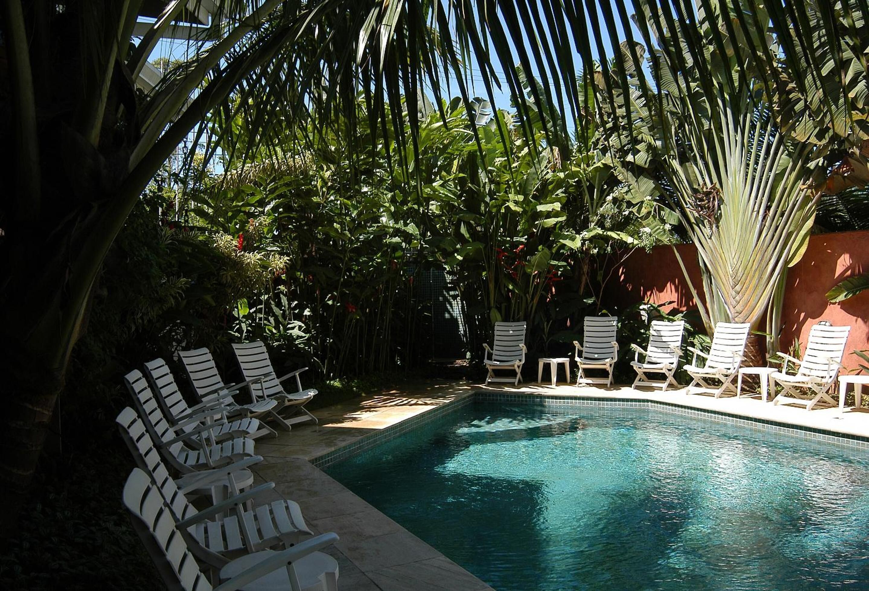 Une piscine bordée de chaises longues blanches et agrémentée de plantes tropicales.
