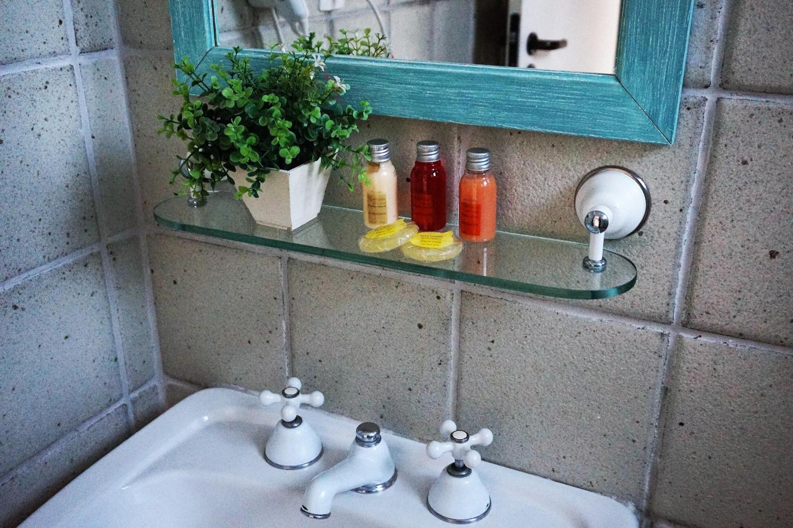 A bathroom with a glass shelf holding three bottles, a potted plant, and a white sink with three faucets.