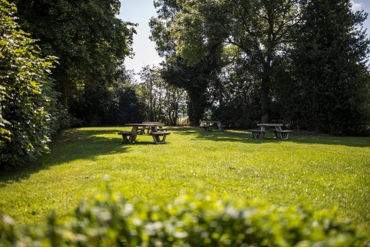 A grassy park area with picnic tables and trees.