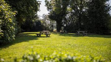 A grassy park area with picnic tables and trees.